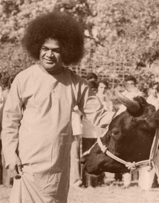 Beloved Bhagawan Sri Sathya Sai Baba